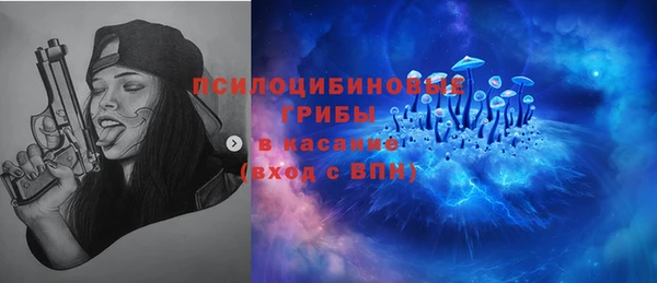 амф Алзамай