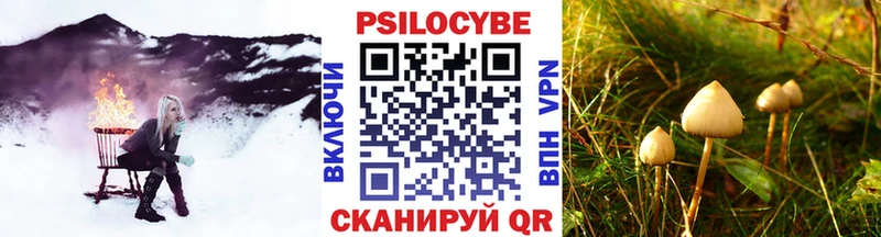 Псилоцибиновые грибы MAGIC MUSHROOMS  Канск 